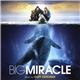 Cliff Eidelman - Big Miracle